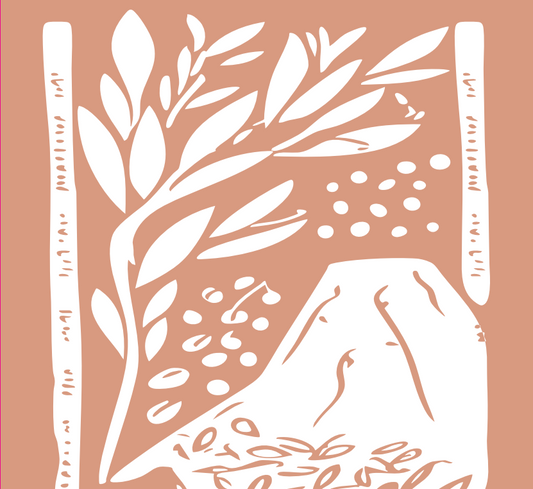 Café El Salvador Natural - Juayúa