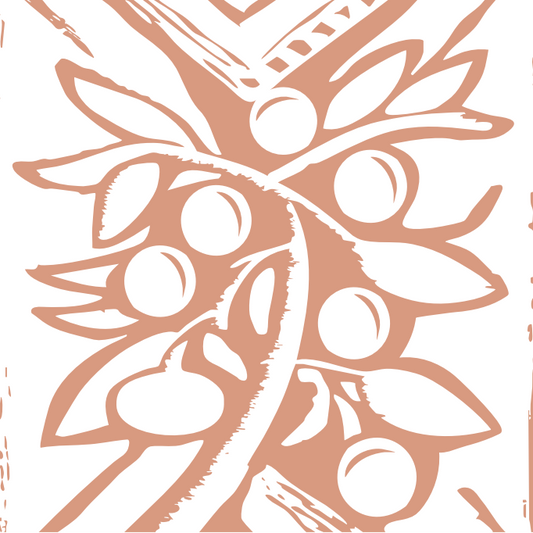 Café Etiópia Lavado - Aleta Wendo