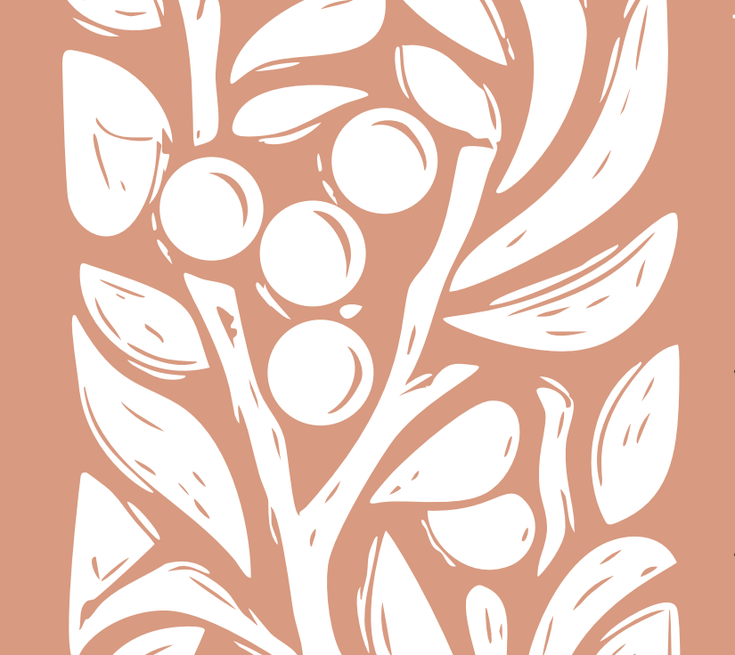 Café Tanzânia Lavado - Ngorongoro