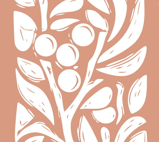 Café Tanzânia Lavado - Ngorongoro