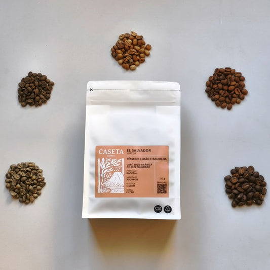 Comparação entre grãos de café verde, torra clara, torra média e torra escura