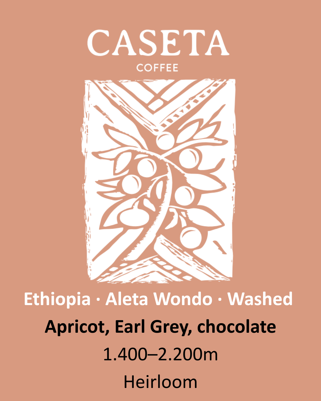 Café Etiópia Lavado - Aleta Wendo