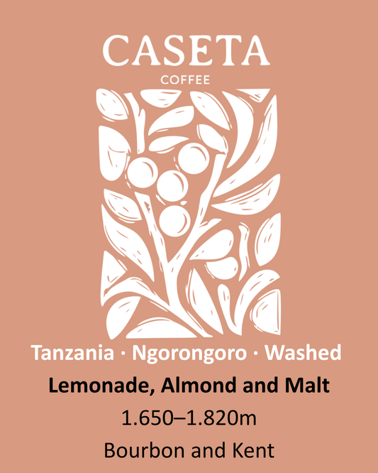Café Tanzânia Lavado Pré-Fermentado - Ngorongoro Crater