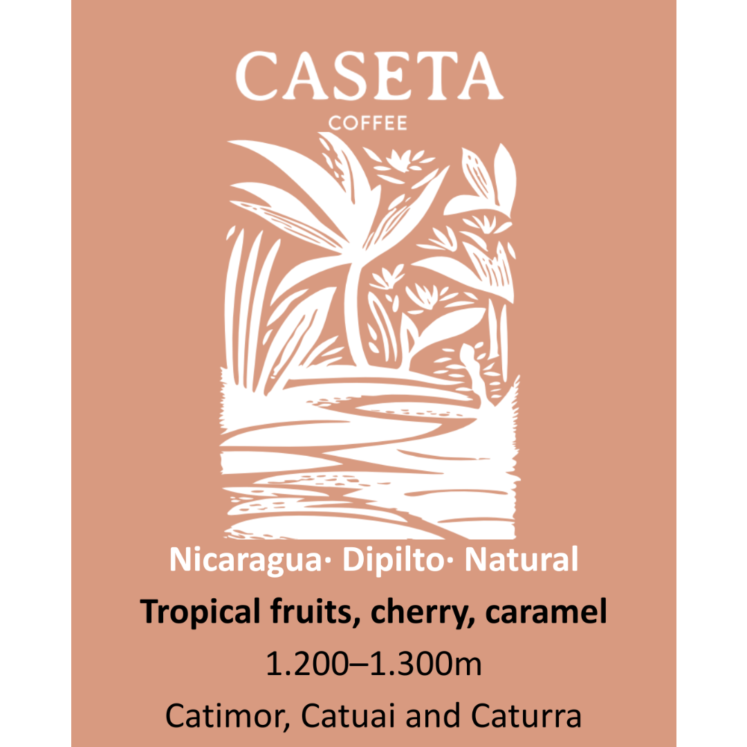 Café Nicaragua Natural · Dipilto