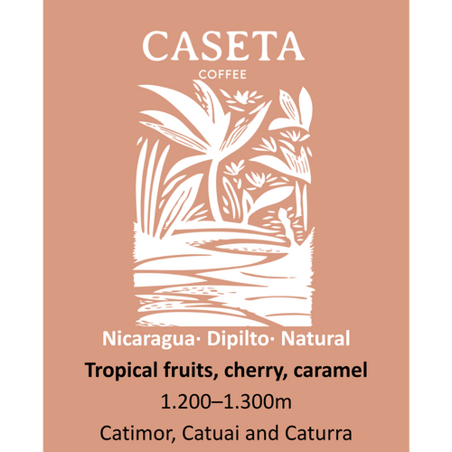 Café Nicarágua Natural · Dipilto