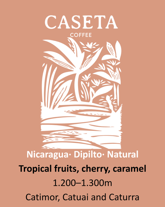 Café Nicarágua Natural - Dipilto