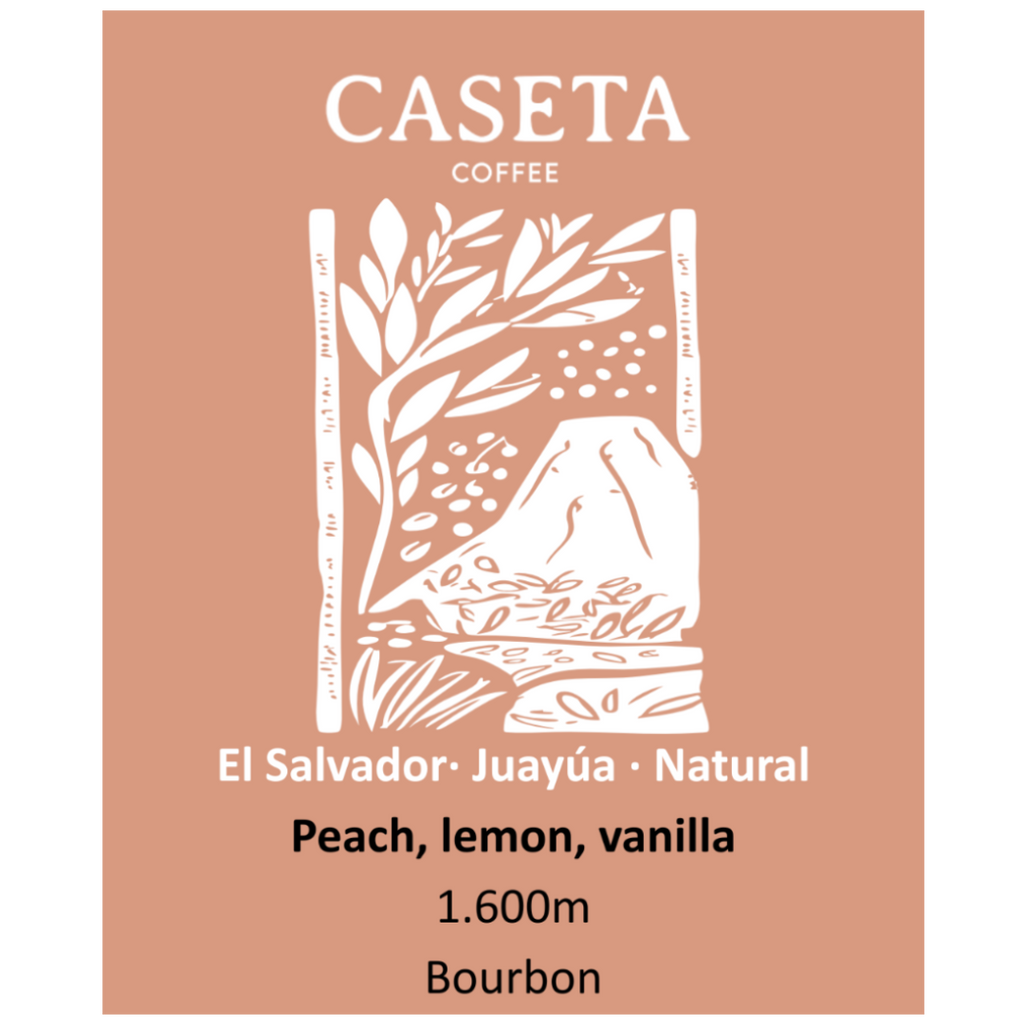 Café El Salvador Natural · Juayúa · Microlote