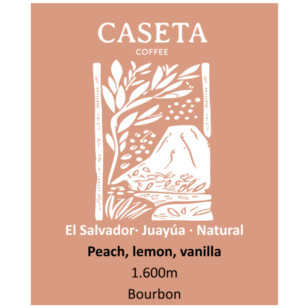 Café El Salvador Natural · Juayúa · Microlote