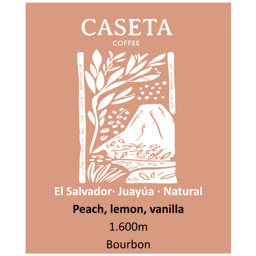 Café El Salvador Natural · Juayúa · Microlote