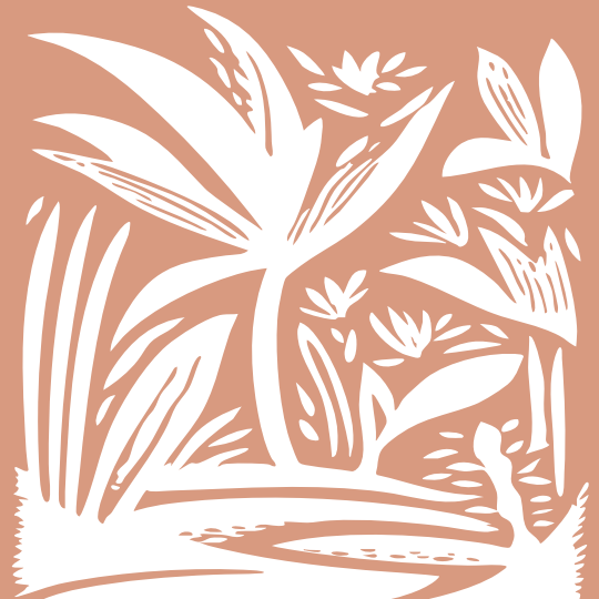 Café Nicarágua Natural - Dipilto