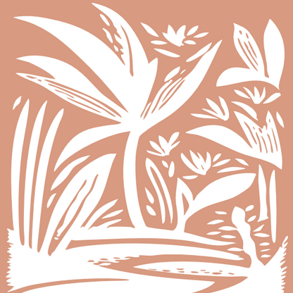 Café Nicarágua Natural - Dipilto