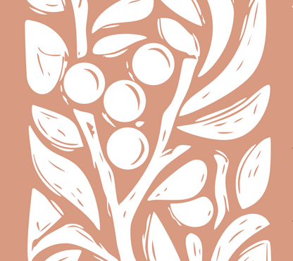 Café Tanzânia Lavado - Ngorongoro