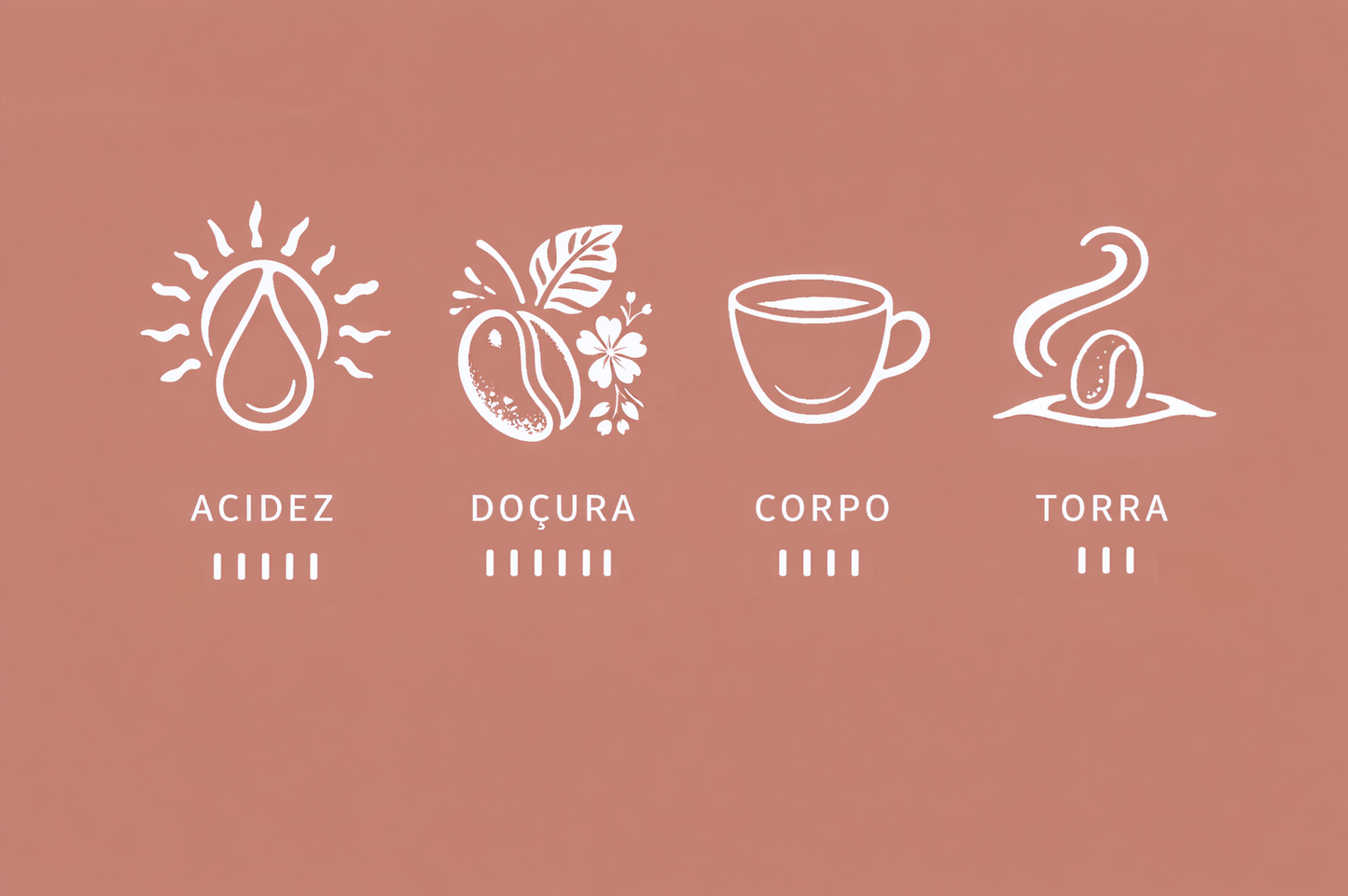 Café Natural El Salvador - Juayúa 