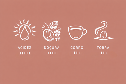 Café Etiópia Lavado - Aleta Wendo