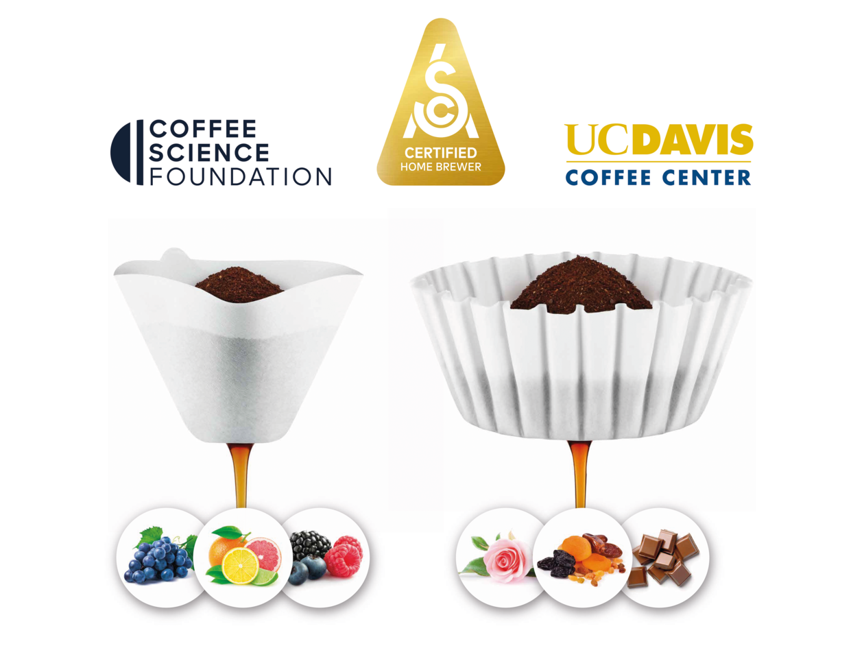 Sage the Luxe Brewer™ Thermal Máquina de Café de Filtro