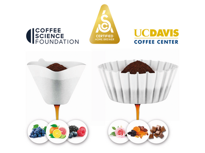 Sage the Luxe Brewer™ Thermal Máquina de Café de Filtro