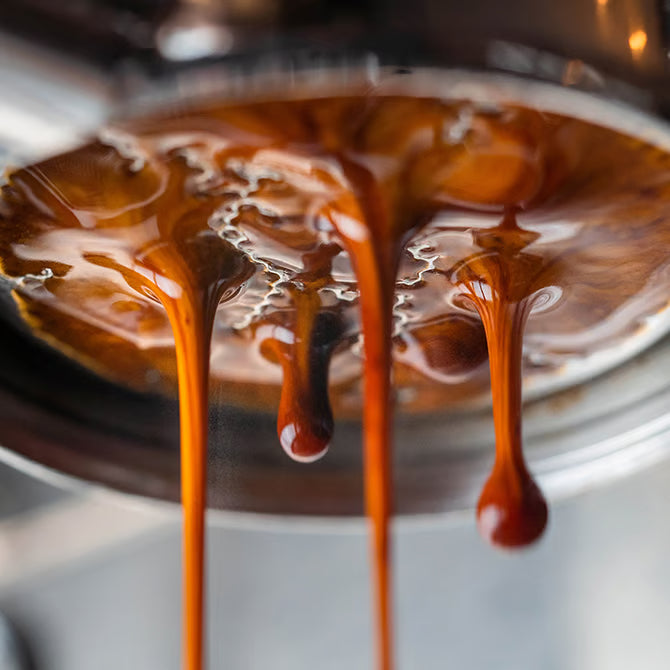 Molinillo de Café Baratza Encore ESP