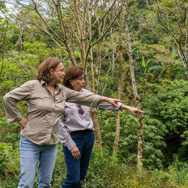 Nicaragua Natural Anaerobic Coffee · Dipilto · Microlot